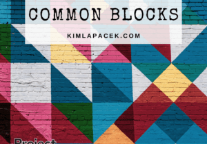 16.3 common blocks